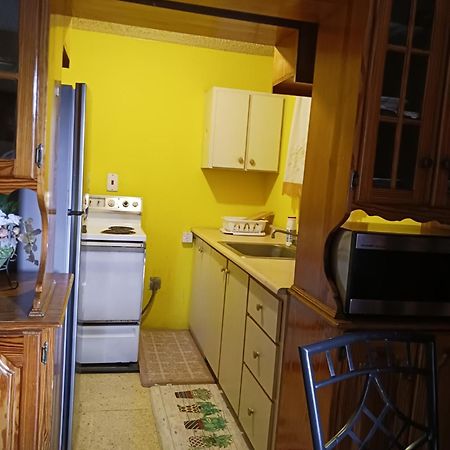 Chelsea Manor Apartment Kingston Luaran gambar