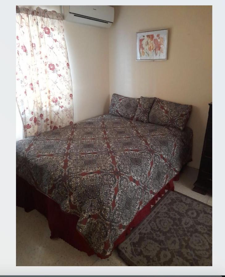 Chelsea Manor Apartment Kingston Luaran gambar